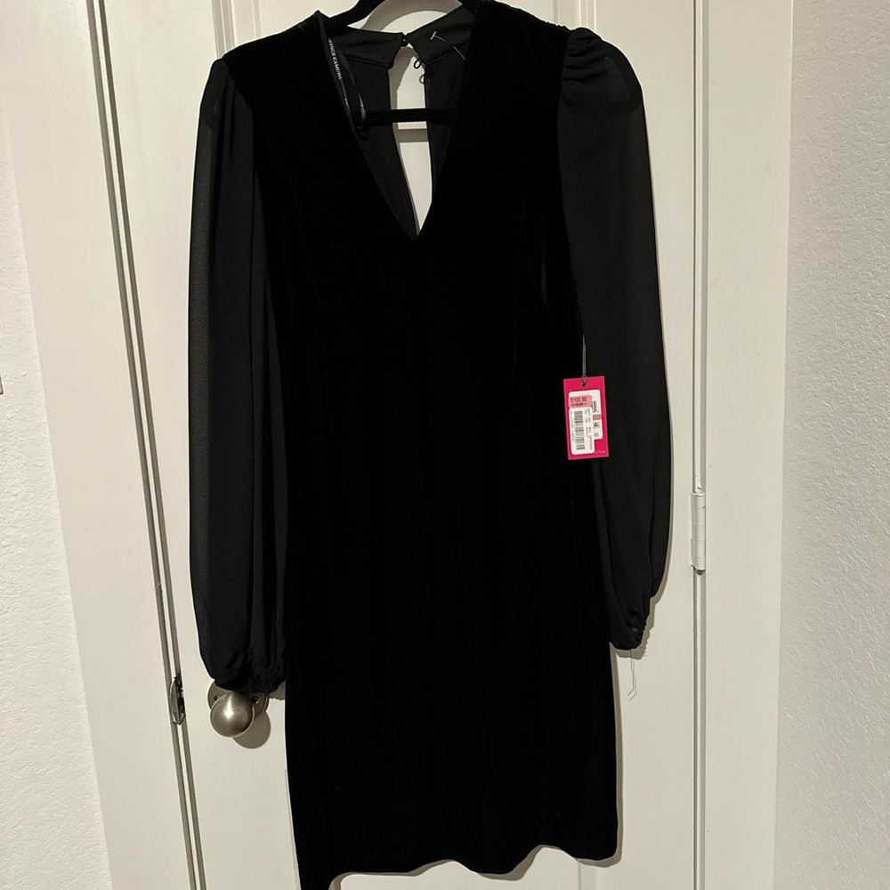 Black velvet mini dress with V-neckline and long sheer sleeves.